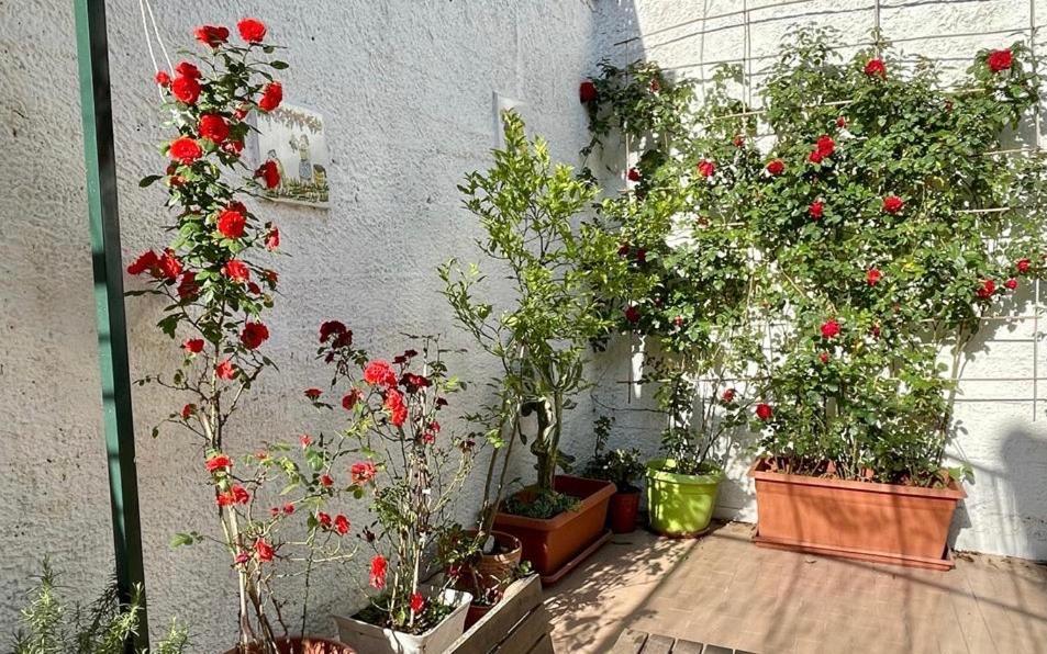 Vila Casa Di Nicola Cetara Exteriér fotografie